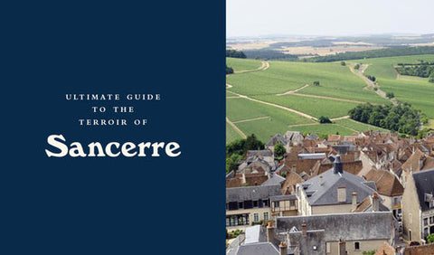 vineyards to visit in sancerre