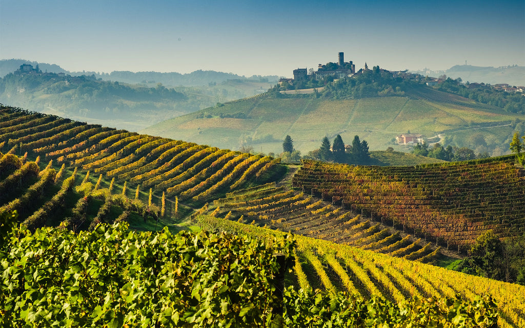 Landscape image of vineyards in Barolo winemaking region