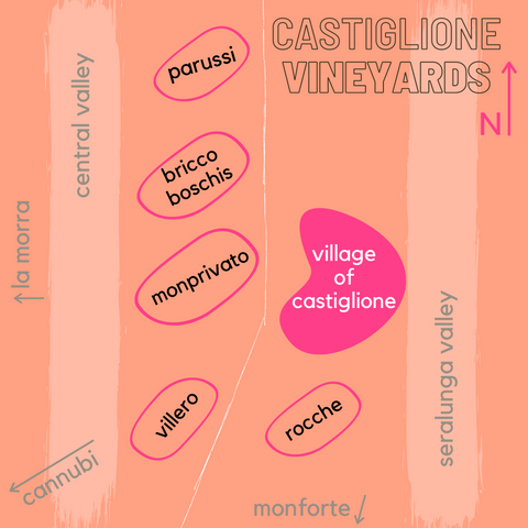 Castiglione Wine Map Barolo
