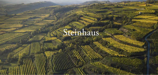 Steinhaus vineyard