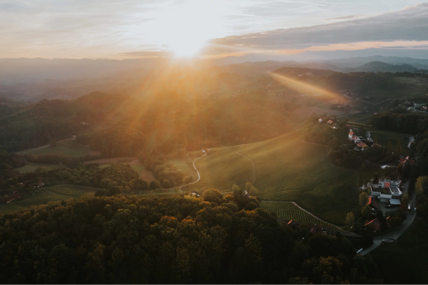 Zieregg: Arguably the best Grand Cru site in Styria.