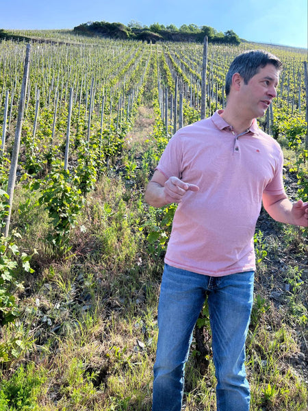 Christoph Schaefer in the vineyard