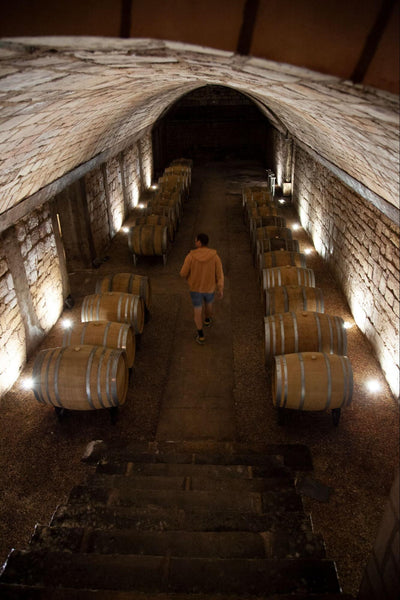 Domaine Vincey wine cellar