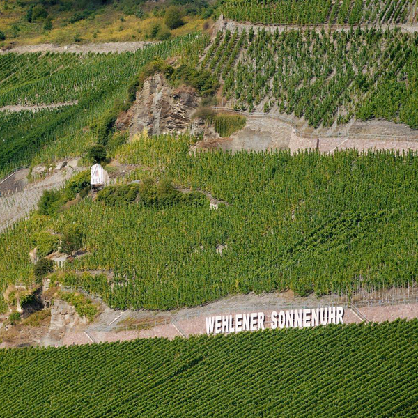 The Wehlener Sonnenuhr Vineyard