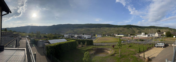 Goldtropfchen from the middle of Piesport and Philipp’s balcony