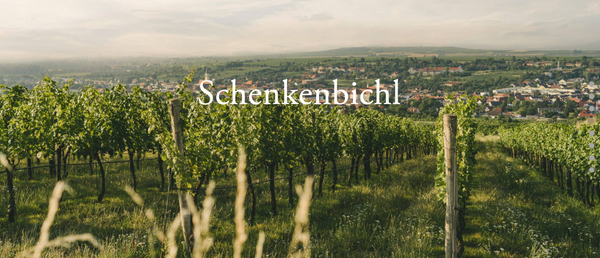 Schenkenbichl