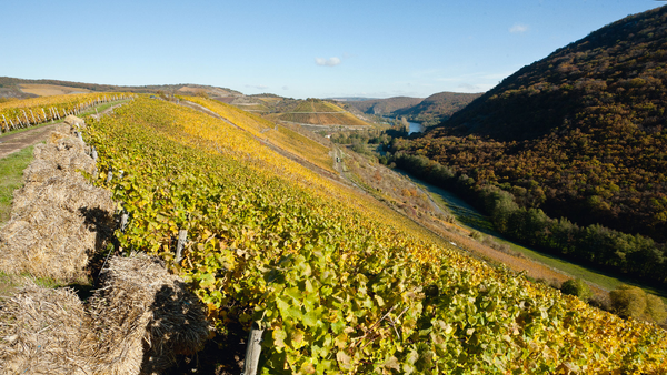 Oberhäuser Leistenberg vineyard