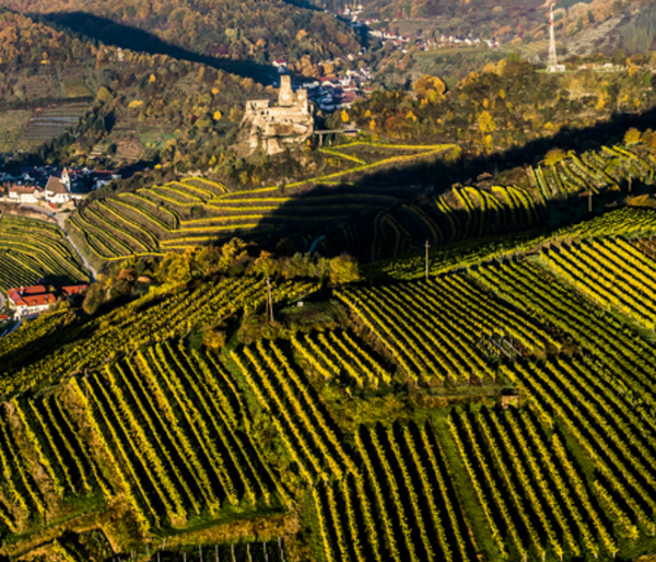 Senftenberger Hochäcker