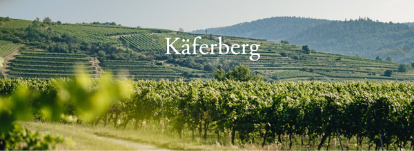 Käferberg vineyard