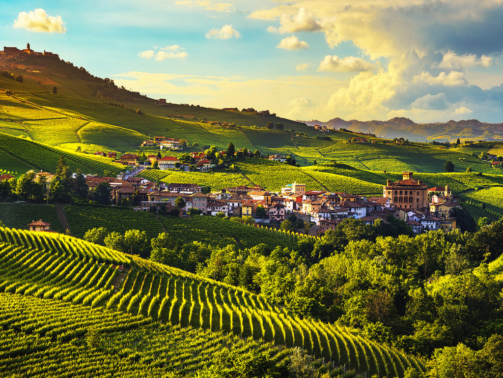 Photo of Barolo vineyards during 2018 vintage.