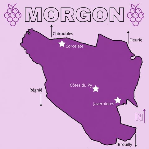 map of morgon cru beaujolais