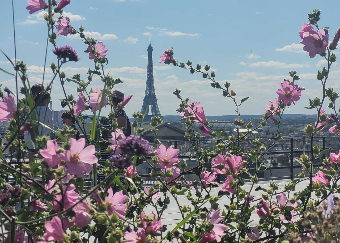 Greetings from Paris Fashion Week - Myssyfarmi