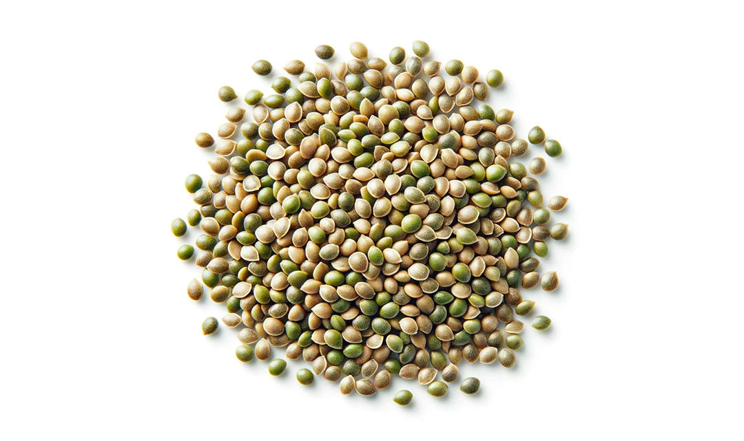 Hemp Seeds