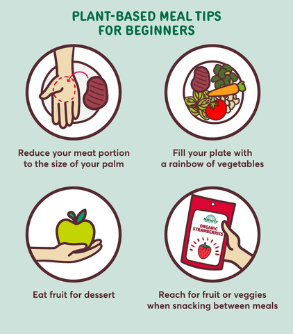 plant-based meal tips for beginners