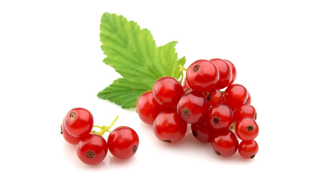 Organic Red Currants