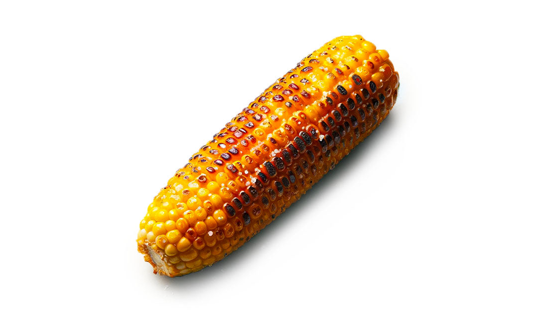 Organic Roasted Corn