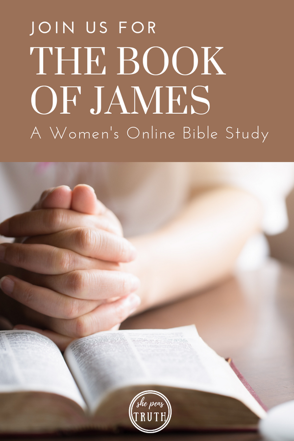 book of james bible study francis chan