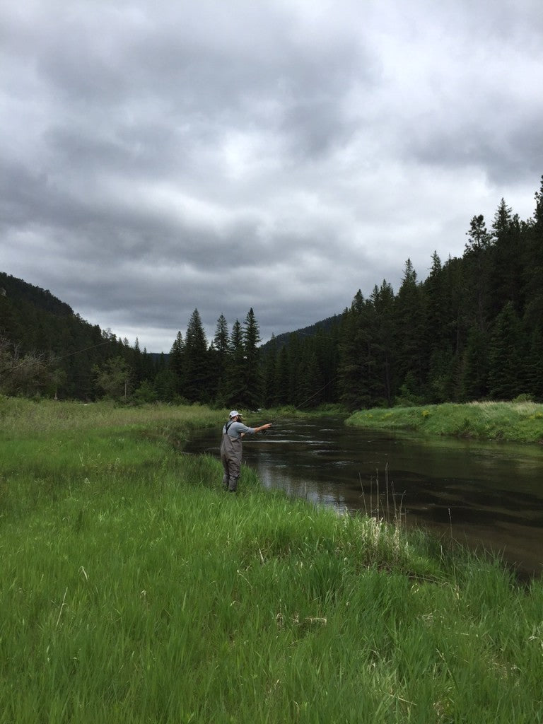 Black Hills Fishing report fly fishing trout june 2015