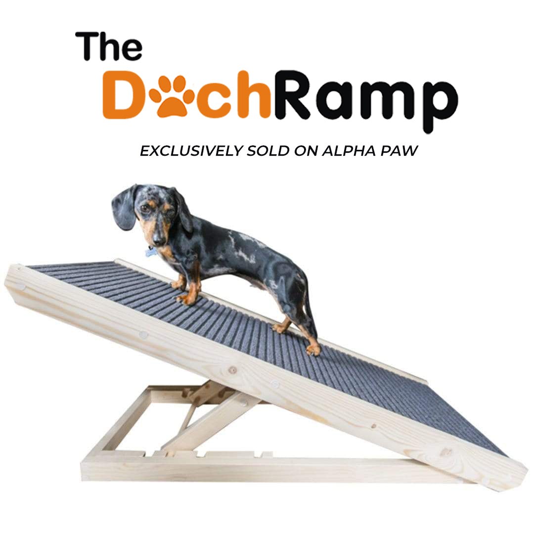dog ramp
