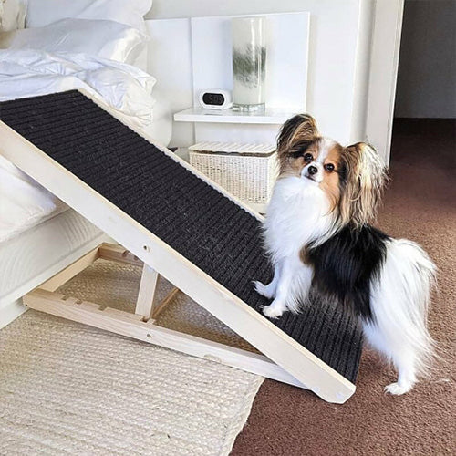 pet ramp