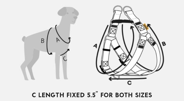 how to measure dog harness chest size