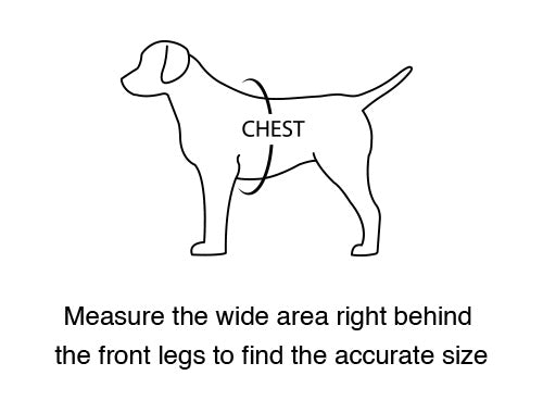 how to measure dog harness chest size