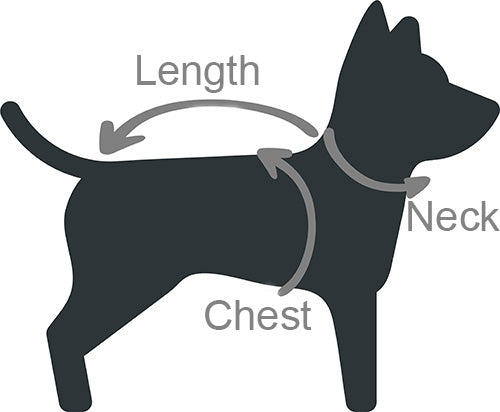 how to measure dog size