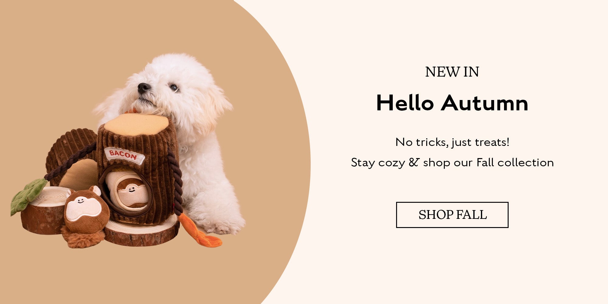 Luxurious pet accessories to spoil your fur-friend with