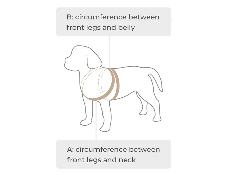 how to measure dog harness size