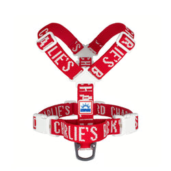 Trip Harness Red