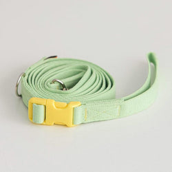 Candy Crayon Leash - Light Green