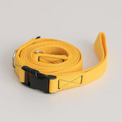 Candy Crayon Leash - Yellow