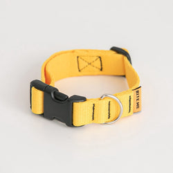 Candy Crayon Collar - Yellow