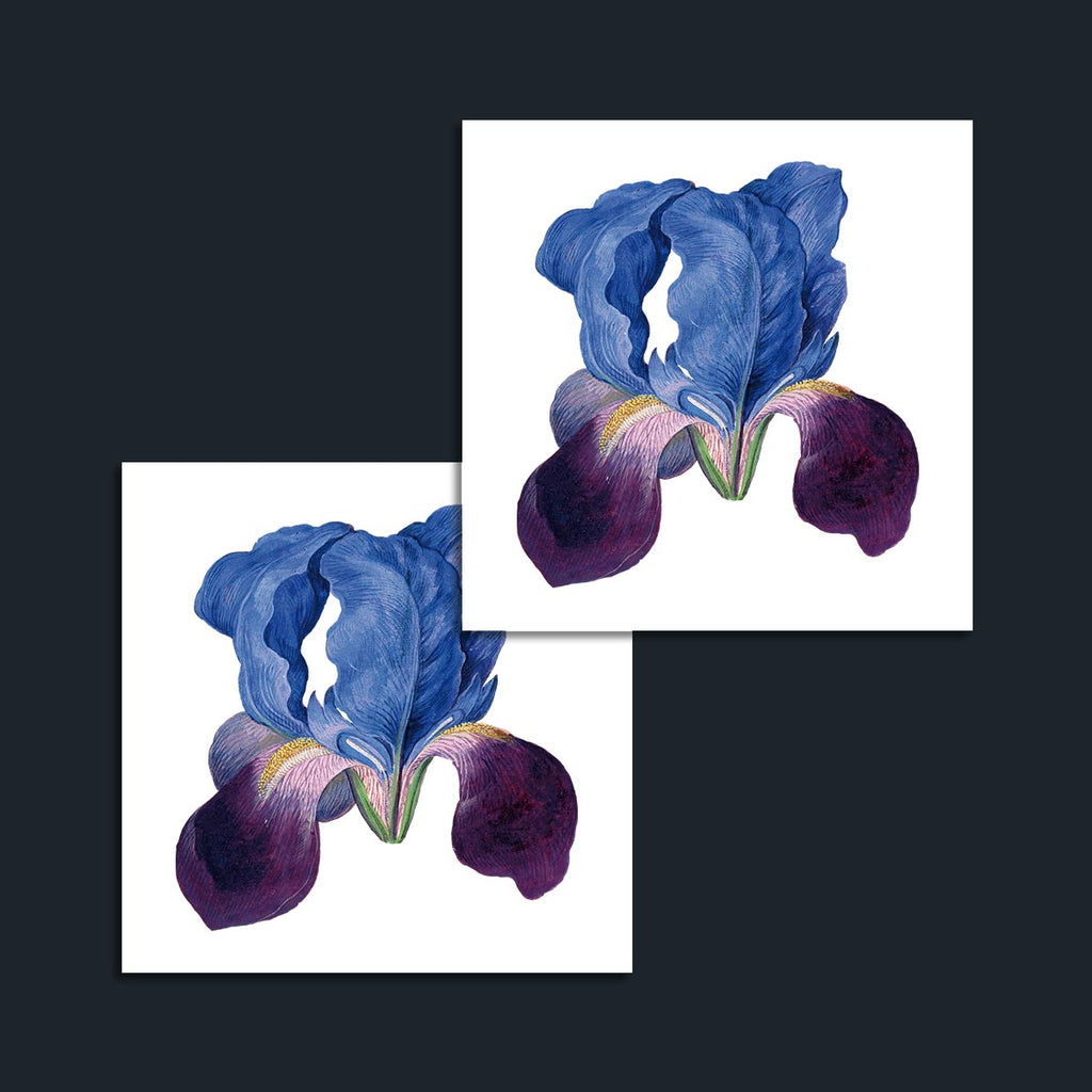 Tatuaje temporal de una Flor de Iris Azul | Tempo Tattoo