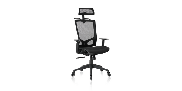 NOUHAUS Wave Ergonomic Office Chair – Nouhaus Inc