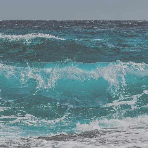 OCEAN CLEANUP