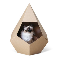 cat house with cardboard