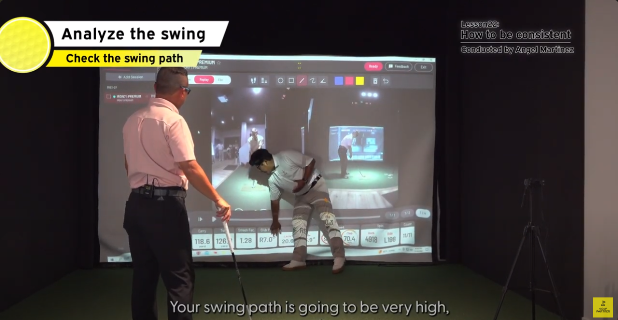 analyzing the swing