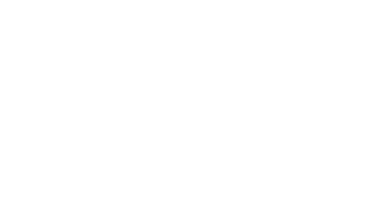 Mizuno