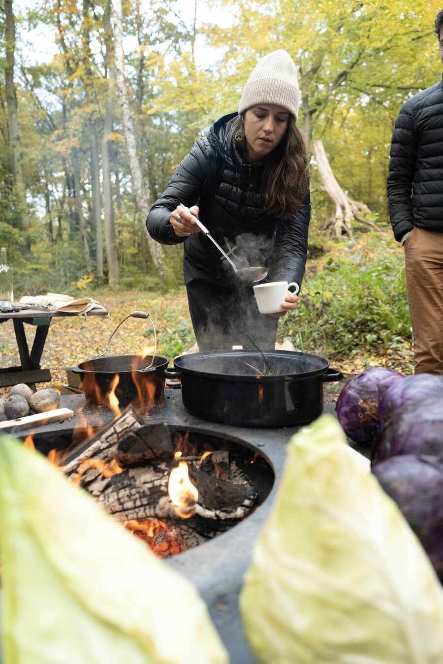 Bois de chêne et de pin pour nos lits et meubles en bois massif