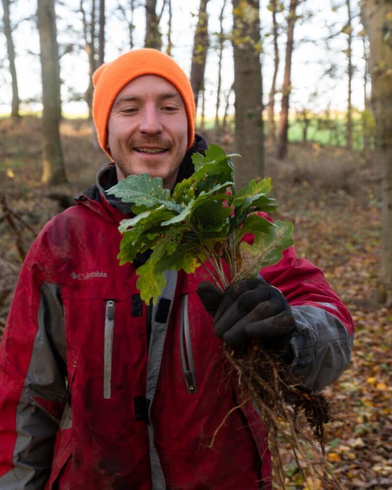 Dans la nature, plantez des arbres pour plus de durabilité