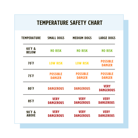 dog overheating temperature chart by size, depicting which high temperatures are harmful to dogs