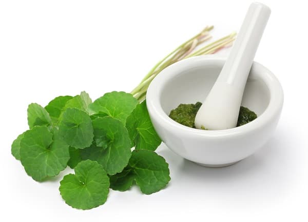 Centella asiatica ingredientes suplementos SIIL alopecia