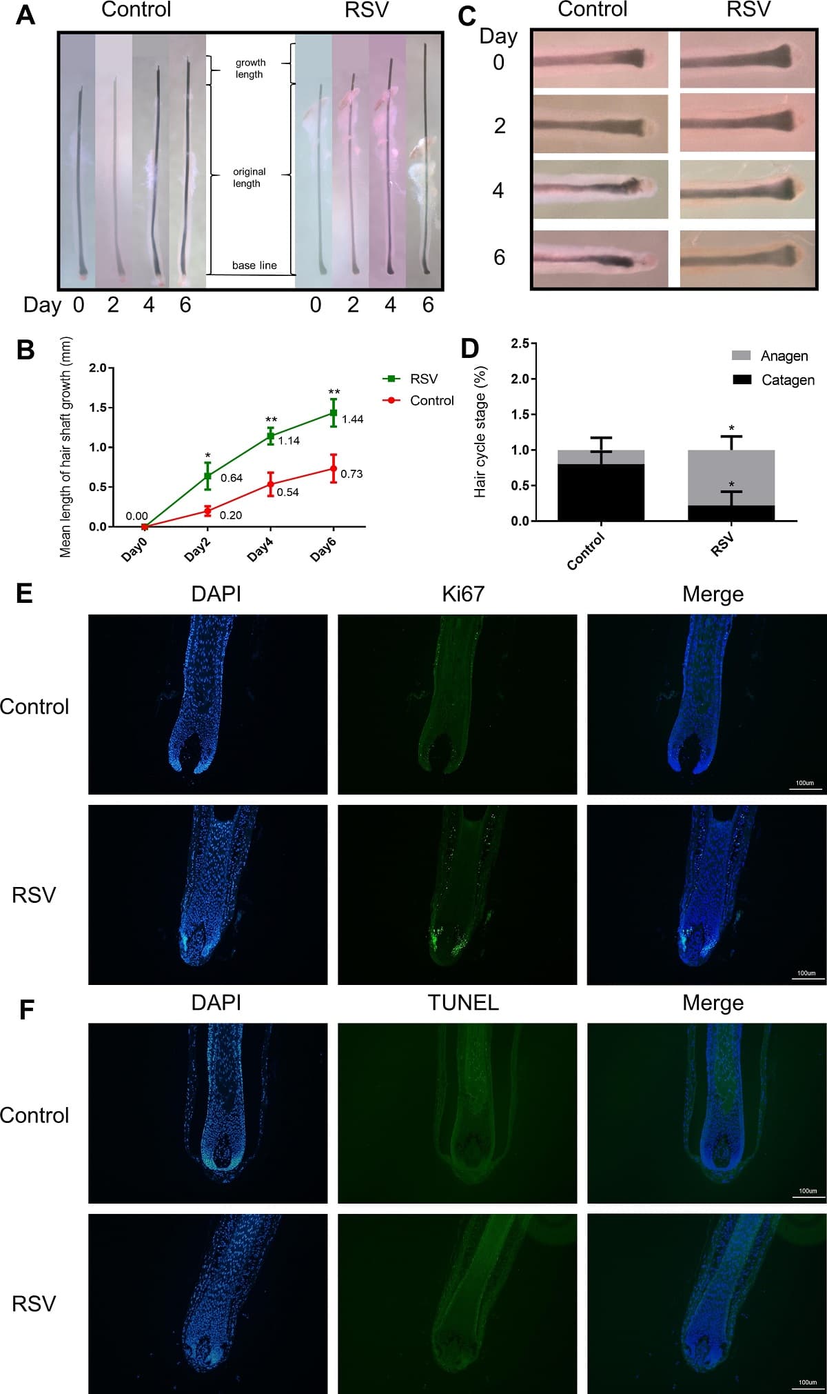 Figura 2_CCID Serioxyl blog SIIL