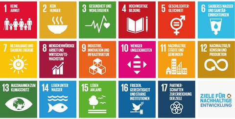 Ziele für nachhaltige Entwicklung der Agenda 2030