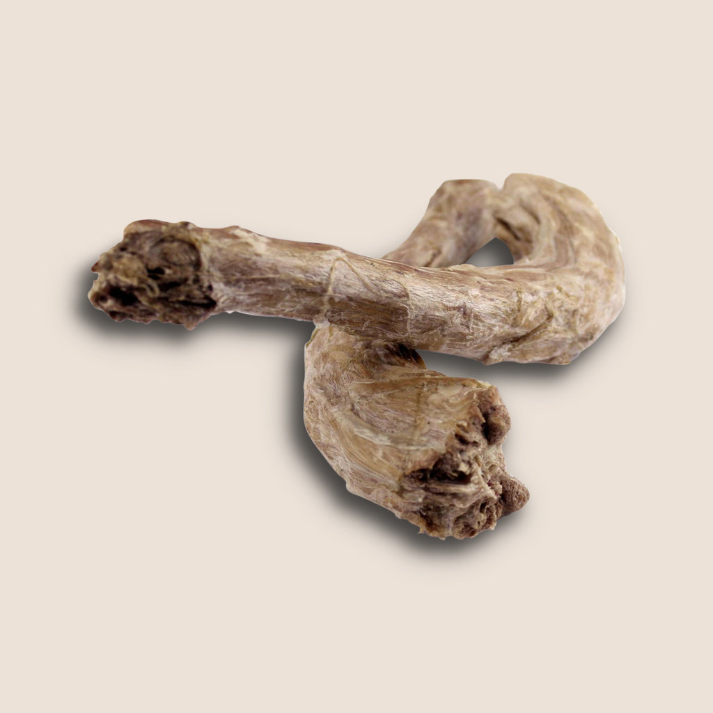 are turkey neck bones safe for dogs