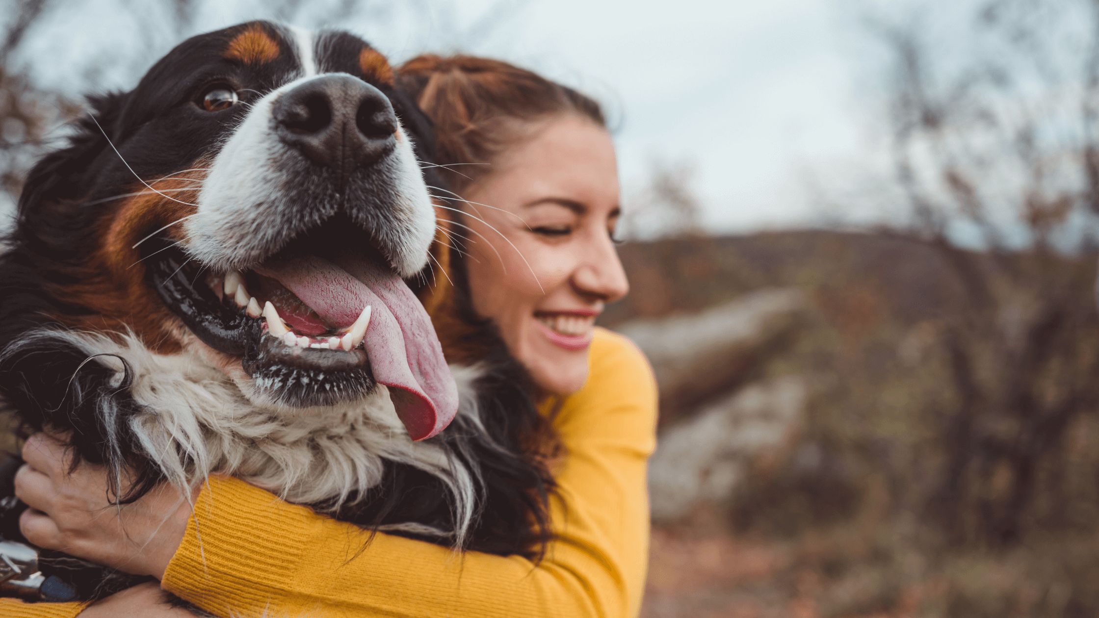 Dog smiling and happy at being hugged by owner