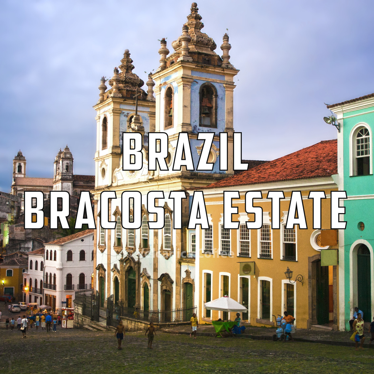 Brazil Estate Coffee – Volcanica