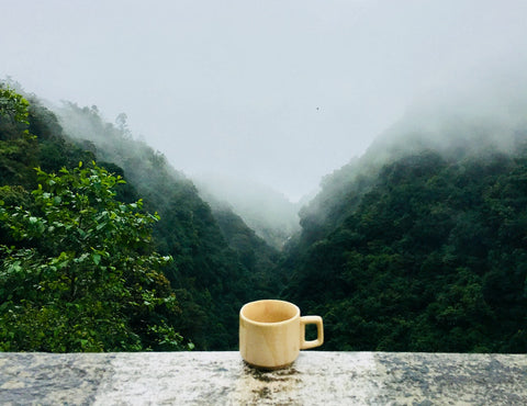 Kaffee in der Natur