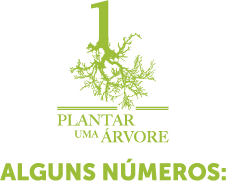 Logotipo ONG plantar uma árvore